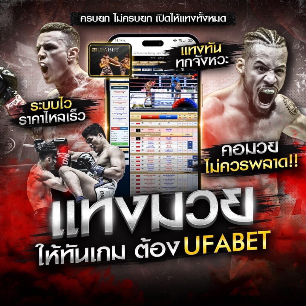 เว็บแทงมวย one